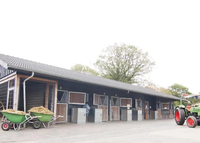 4 Pers. Veluwelodge Met Sauna