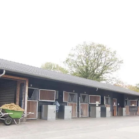 4 Pers. Veluwelodge Met Sauna